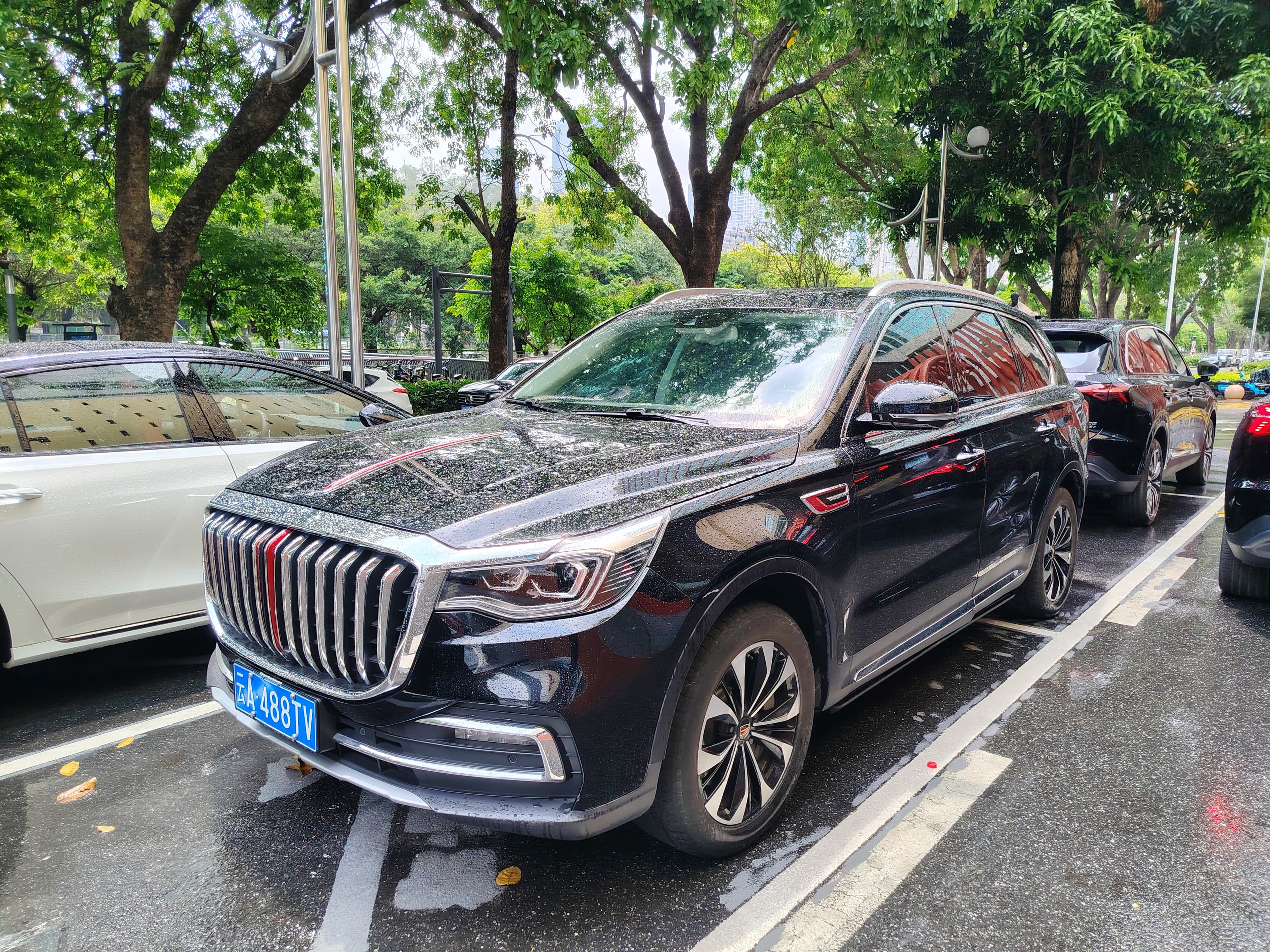 2021 Hongqi HS7